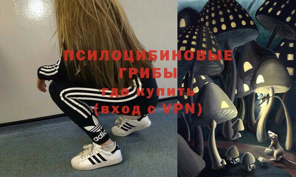 МДПВ Заволжск