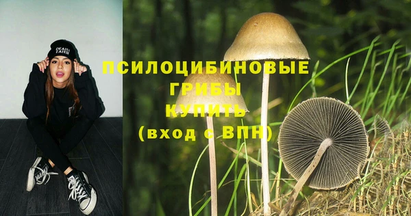 МДПВ Заволжск