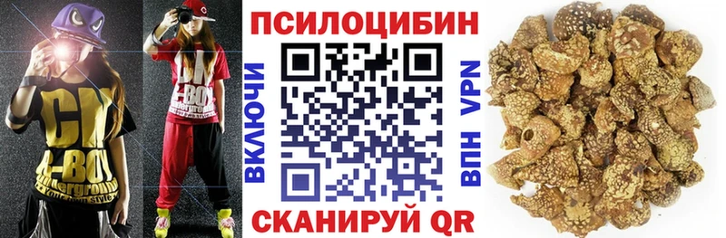 Купить  Высоцк  Галлюциногенные грибы MAGIC MUSHROOMS 