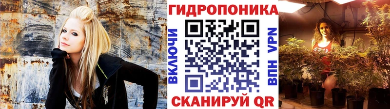 Бошки марихуана VHQ  Купить где  Высоцк 
